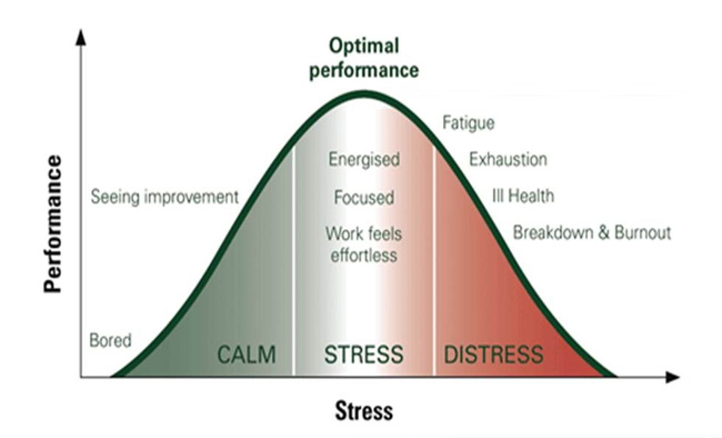 Yerkes-Dodson Human Performance and Stress Curve